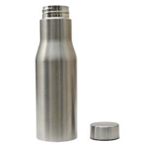 Stainless Steel Water Bottle – 750ml BPA-Free Fridge Sipper (Silver)